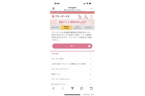 成約済の滋賀県のポメラニアン-333207の2枚目