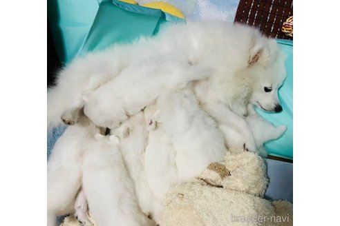 ちゃん1枚目