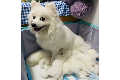 ちゃん1枚目