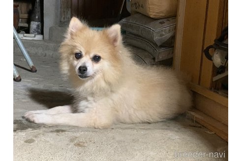 ちゃん1枚目