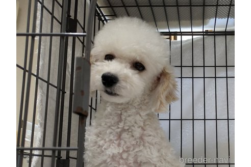 キールちゃん1枚目