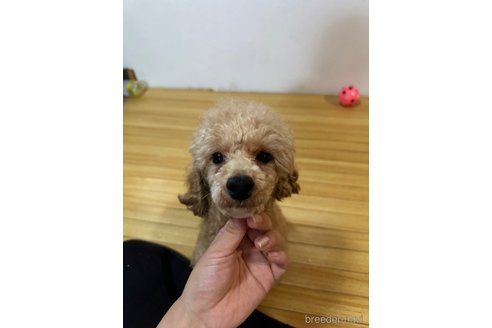ロズくん1枚目