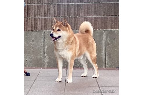 あさひくん1枚目
