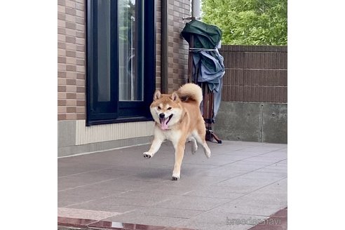 あさひくん1枚目