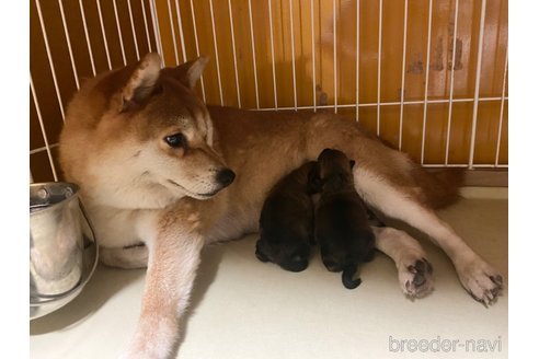 サキちゃん1枚目