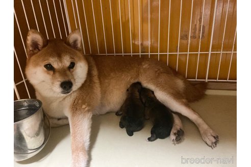 サキちゃん1枚目