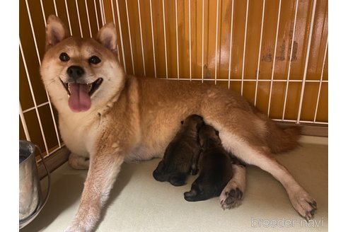 サキちゃん1枚目