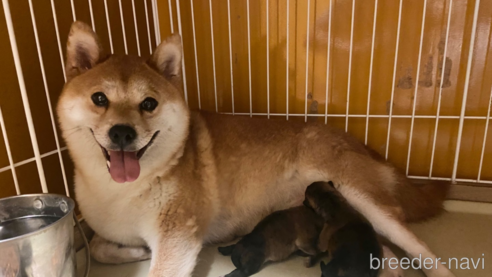サキちゃん1枚目