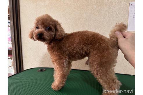 ふくくん1枚目