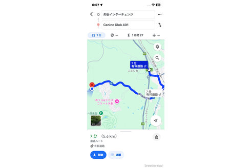 成約済の栃木県のゴールデンレトリーバー-328459の2枚目