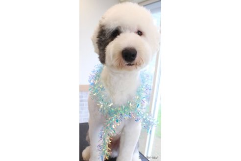 リルくん1枚目