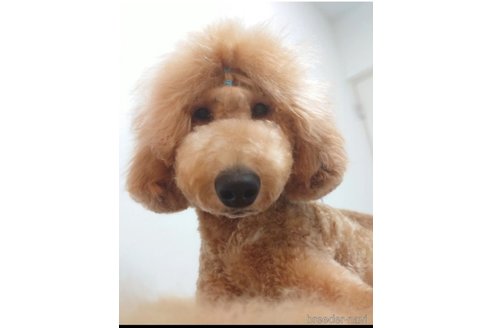 ウタちゃん1枚目