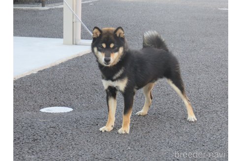 千豆の勇くん1枚目