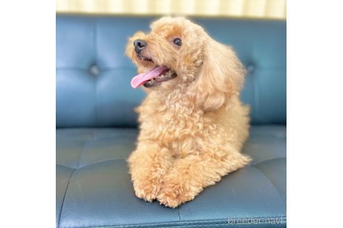 えるもちゃん1枚目