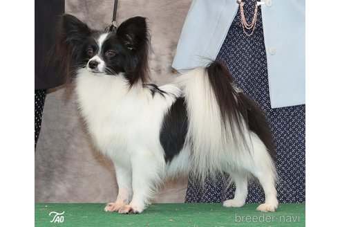 エステルちゃん1枚目