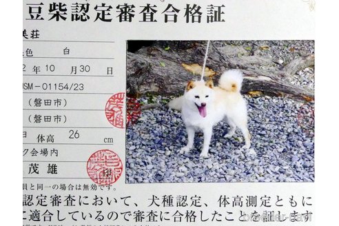 ちゃん1枚目