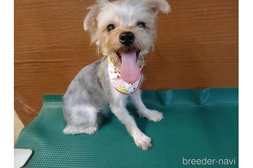 こんぶちゃん1枚目