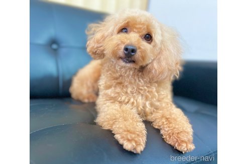 えるもちゃん1枚目