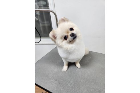 サンちゃん1枚目