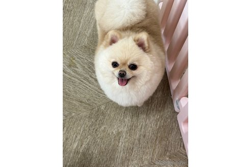 サンちゃん1枚目