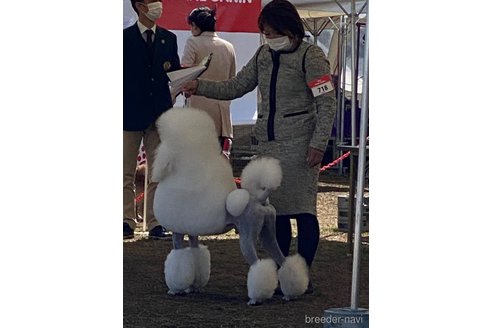 くん1枚目