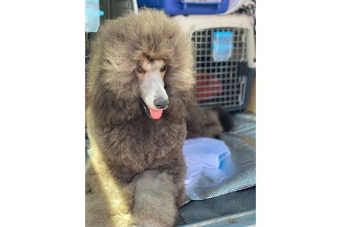 ちゃん1枚目