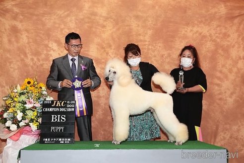 くん1枚目