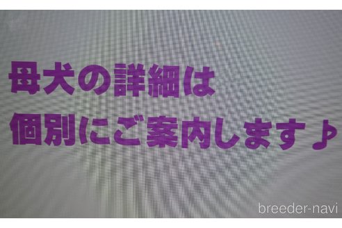 ちゃん1枚目