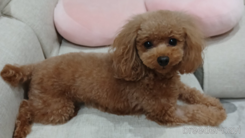 ちゃん1枚目
