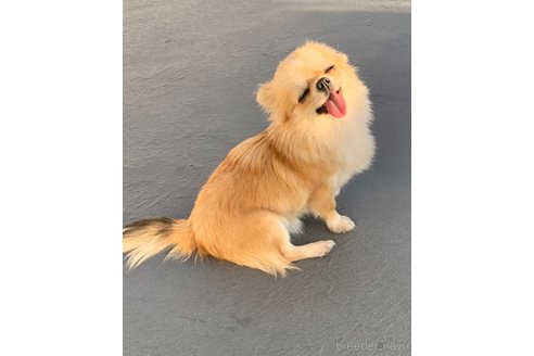 ウヅキちゃん1枚目