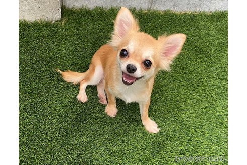 ちゃん1枚目