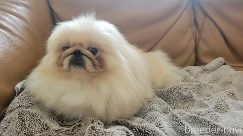 タクくん1枚目