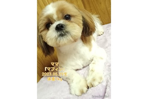 ちゃん1枚目