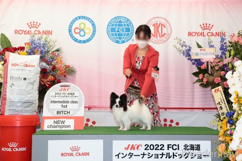 ももちゃん1枚目