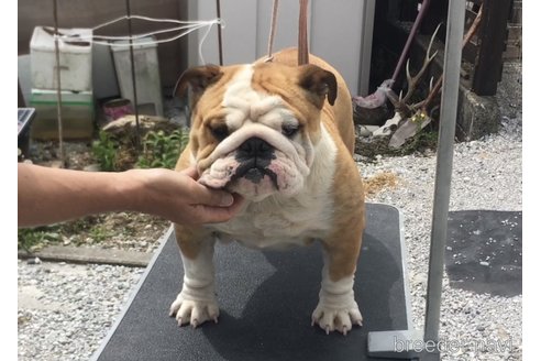メビナちゃん1枚目