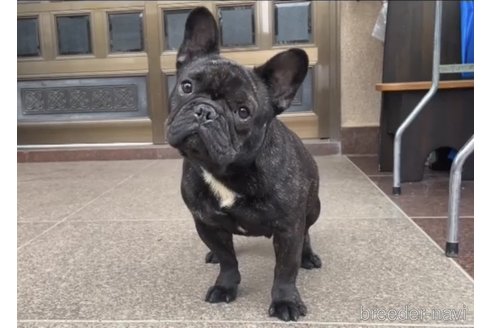 サニーちゃん1枚目