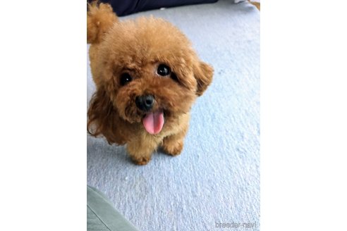 ニコちゃん1枚目