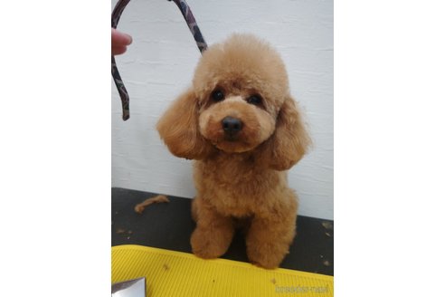 春くん1枚目