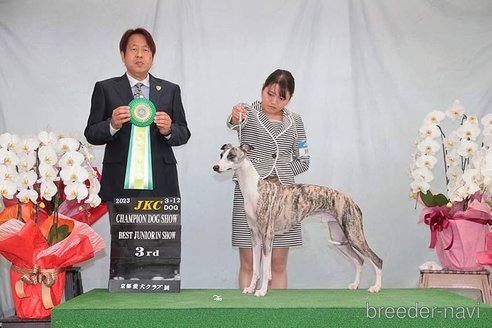 ビスケットくん1枚目