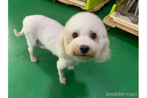 サンちゃん1枚目