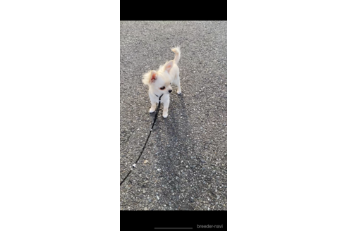 アリスちゃん1枚目