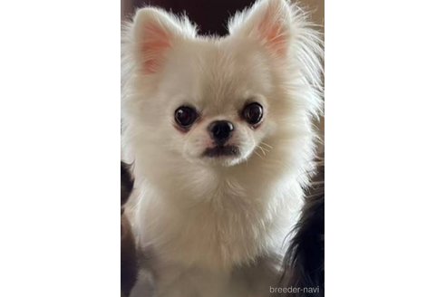 ルークくん1枚目
