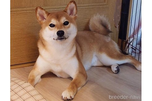 いぶきちゃん1枚目