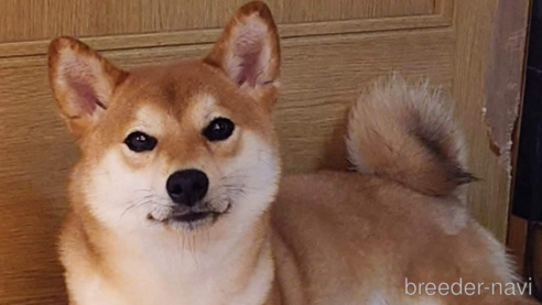 いぶきちゃん1枚目