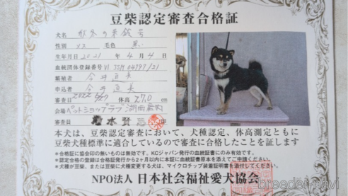 まりんちゃん1枚目