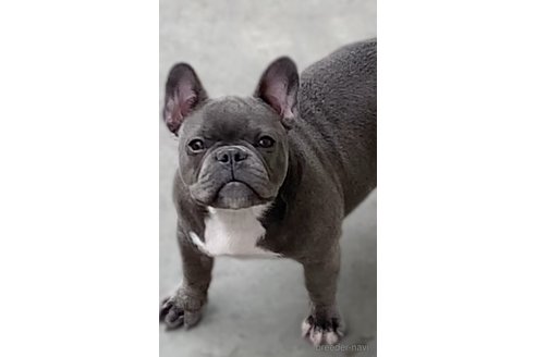 サニーちゃん1枚目
