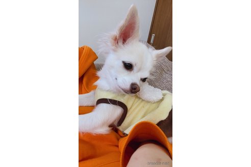 ちゃん1枚目