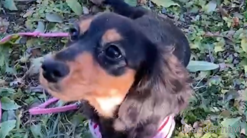 えんちゃん1枚目