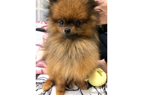 くん1枚目