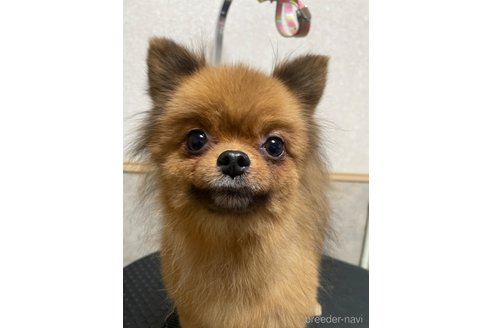 ちゃん1枚目